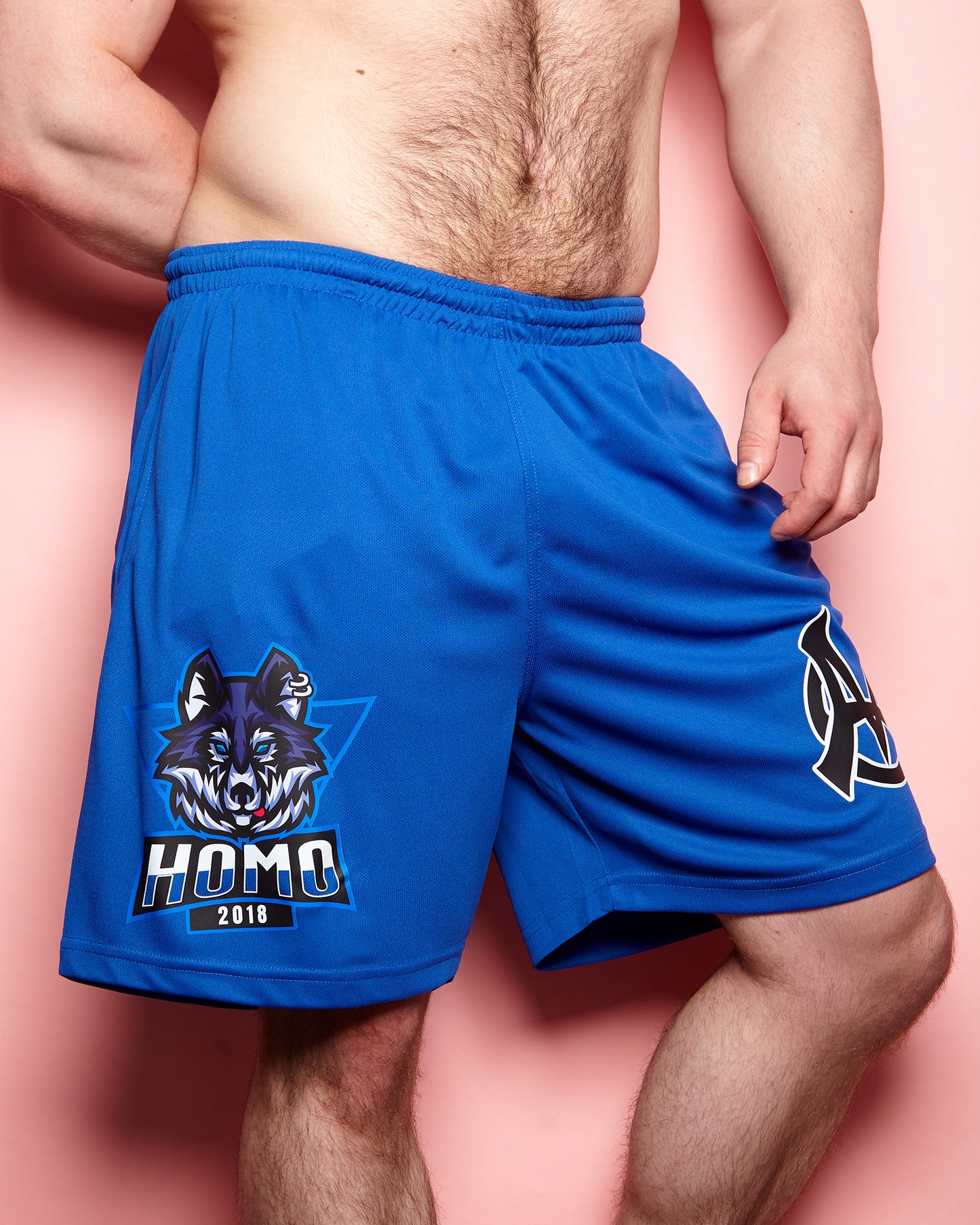 Sporty wolf, blue - basket ball shorts
