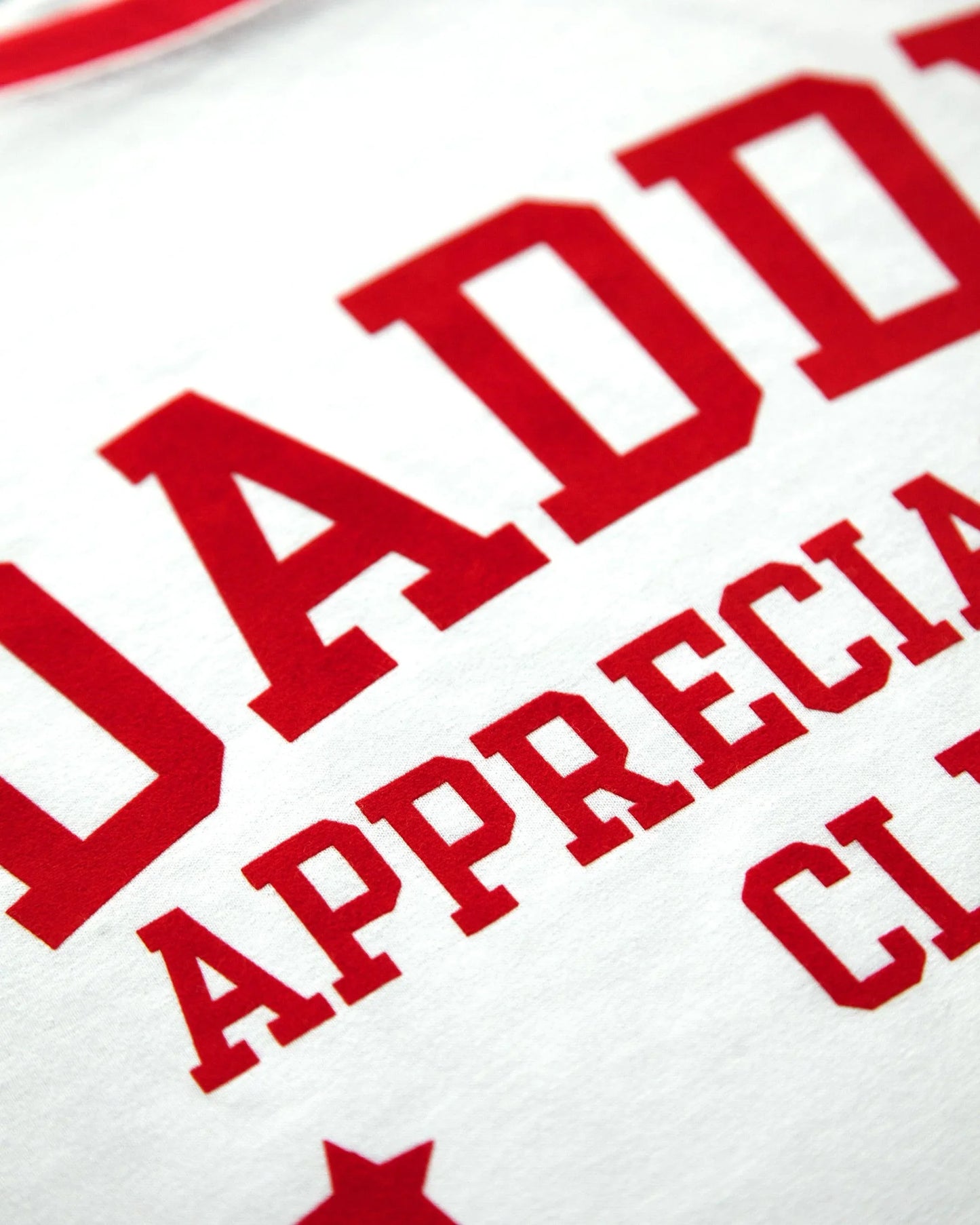 Daddy appreciation club, red flock on red trim - tee.