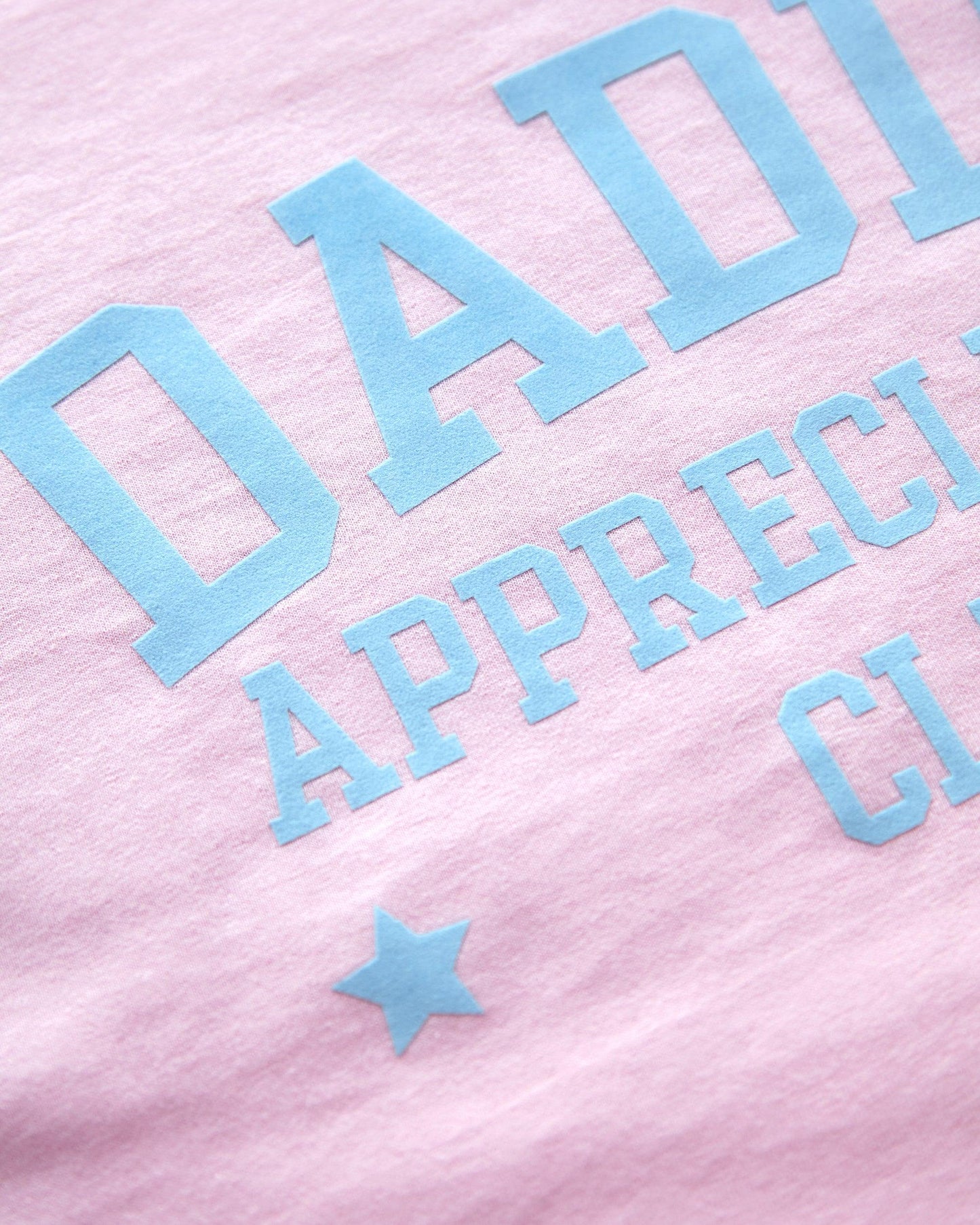 Daddy appreciation club, light blue flock on pink - crop top.