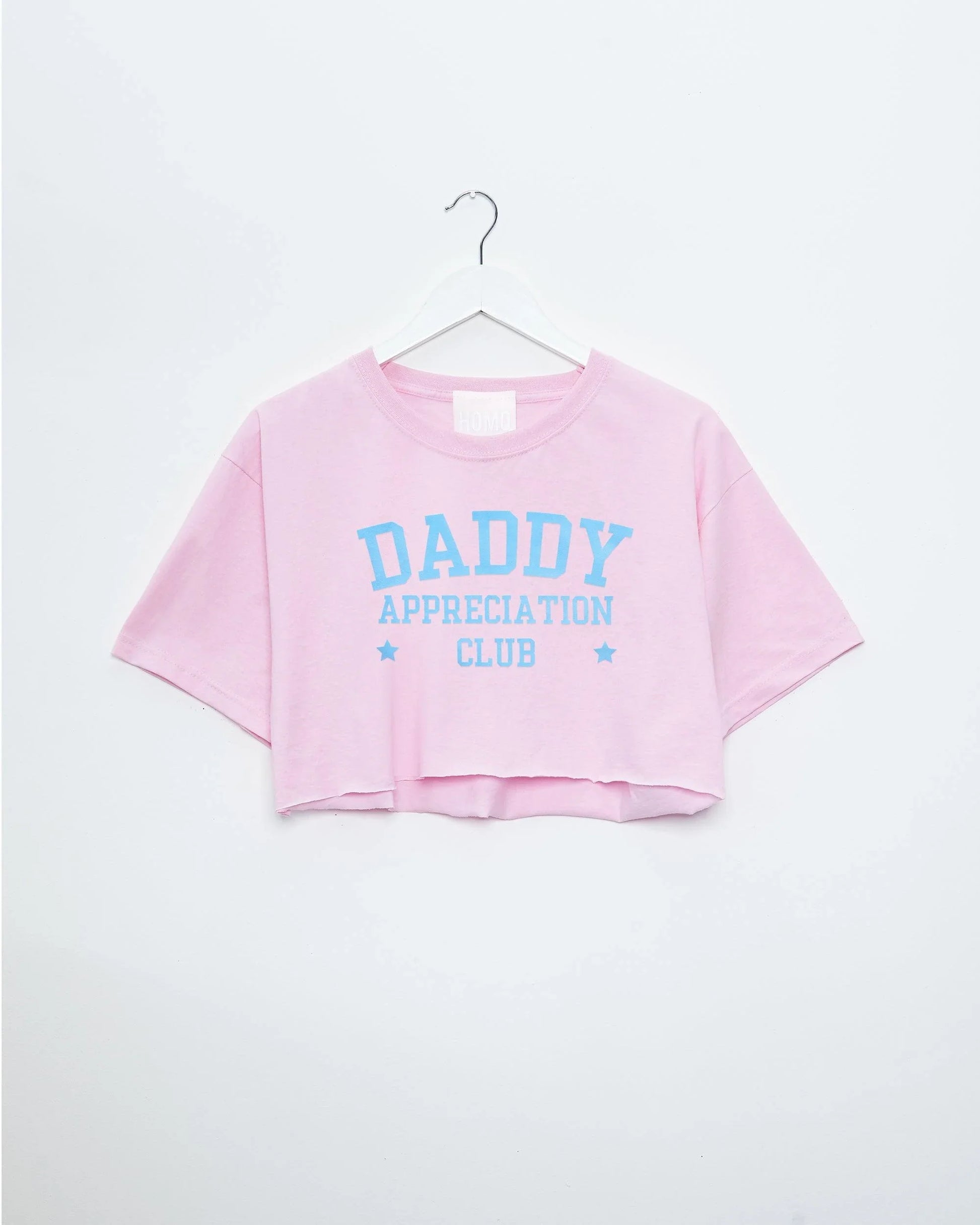 Daddy appreciation club, light blue flock on pink - mens crop top. - HOMOLONDON