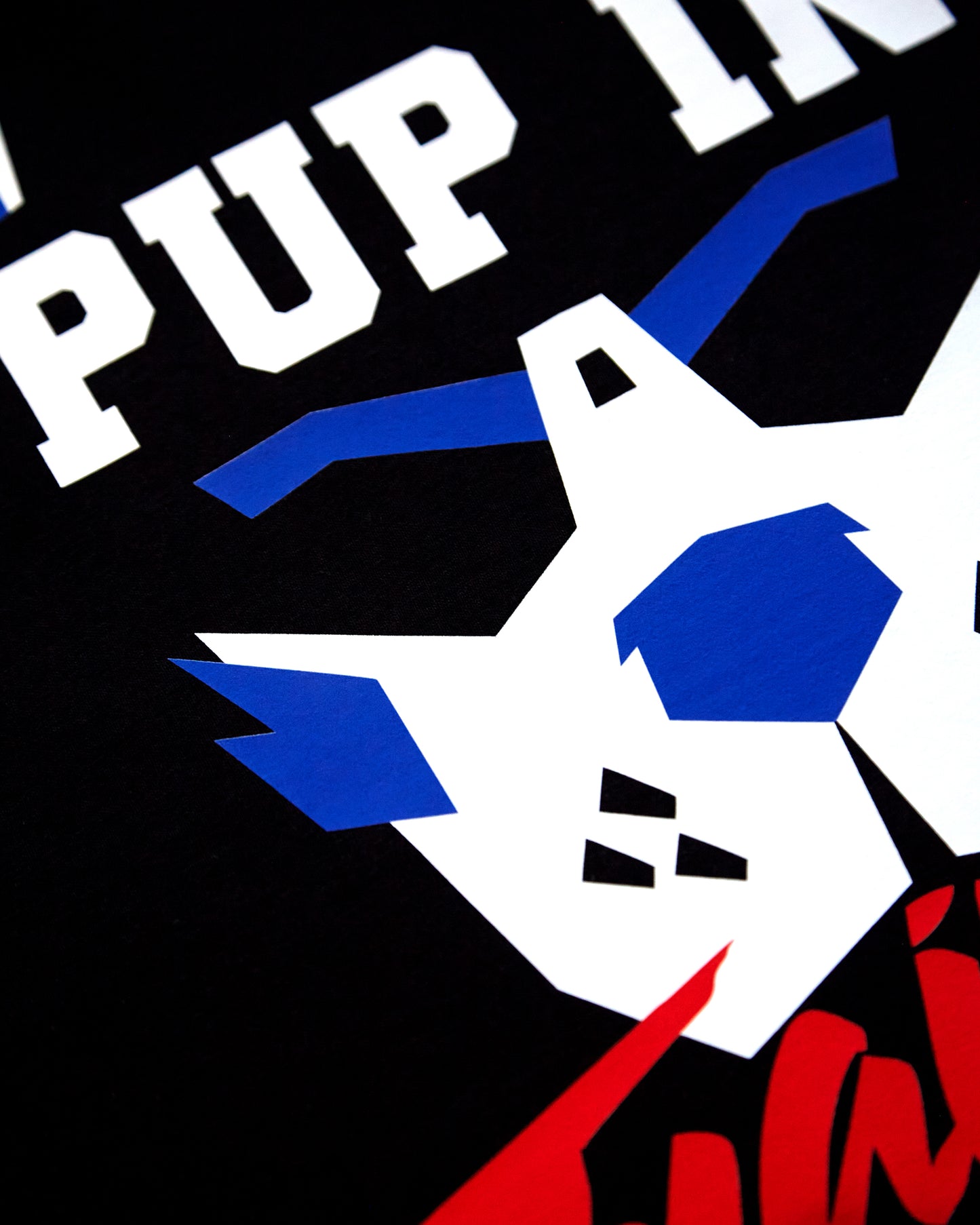 PUP Collection: Pup in training, soft style hoodie - blue/black