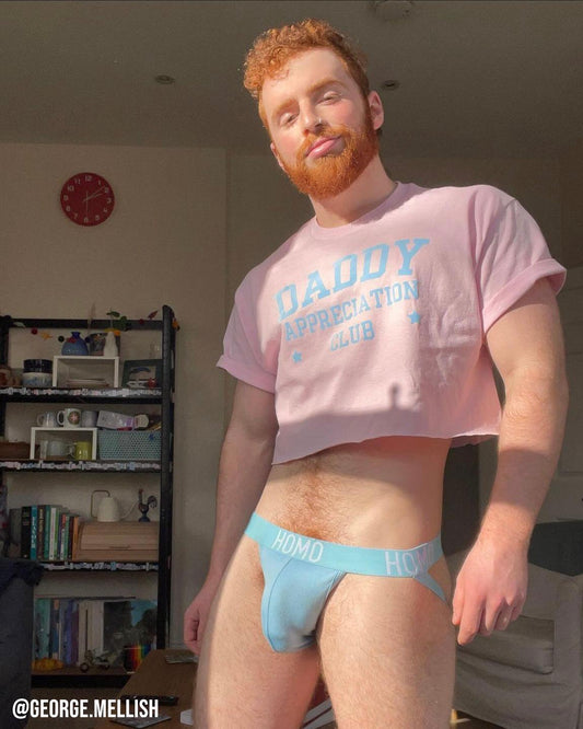 Daddy appreciation club, light blue flock on pink - mens crop top.