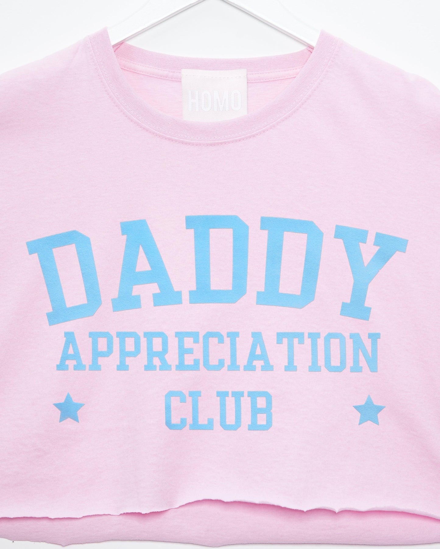 Daddy appreciation club, light blue flock on pink - mens crop top.