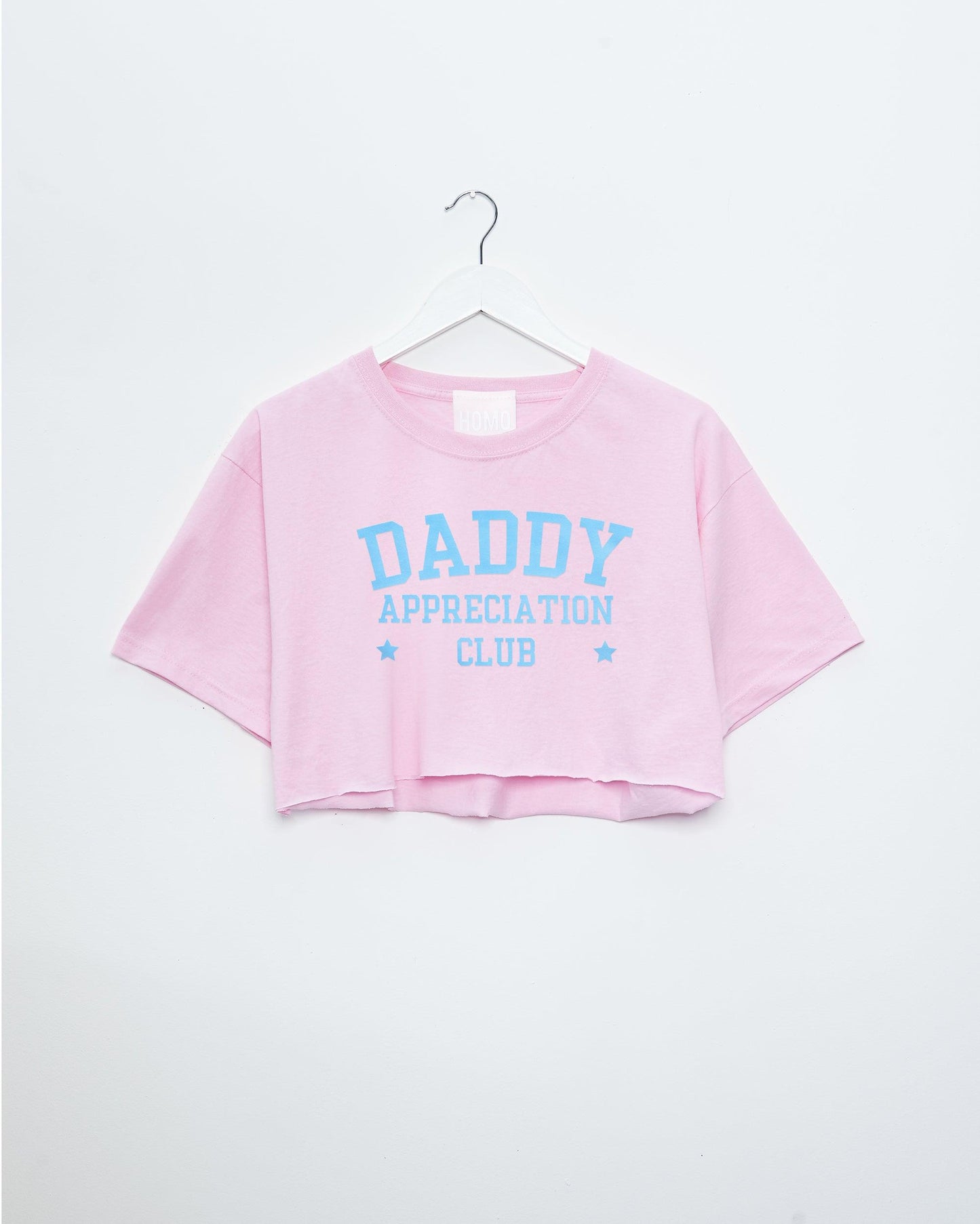 Daddy appreciation club, light blue flock on pink - mens crop top. - HOMOLONDON