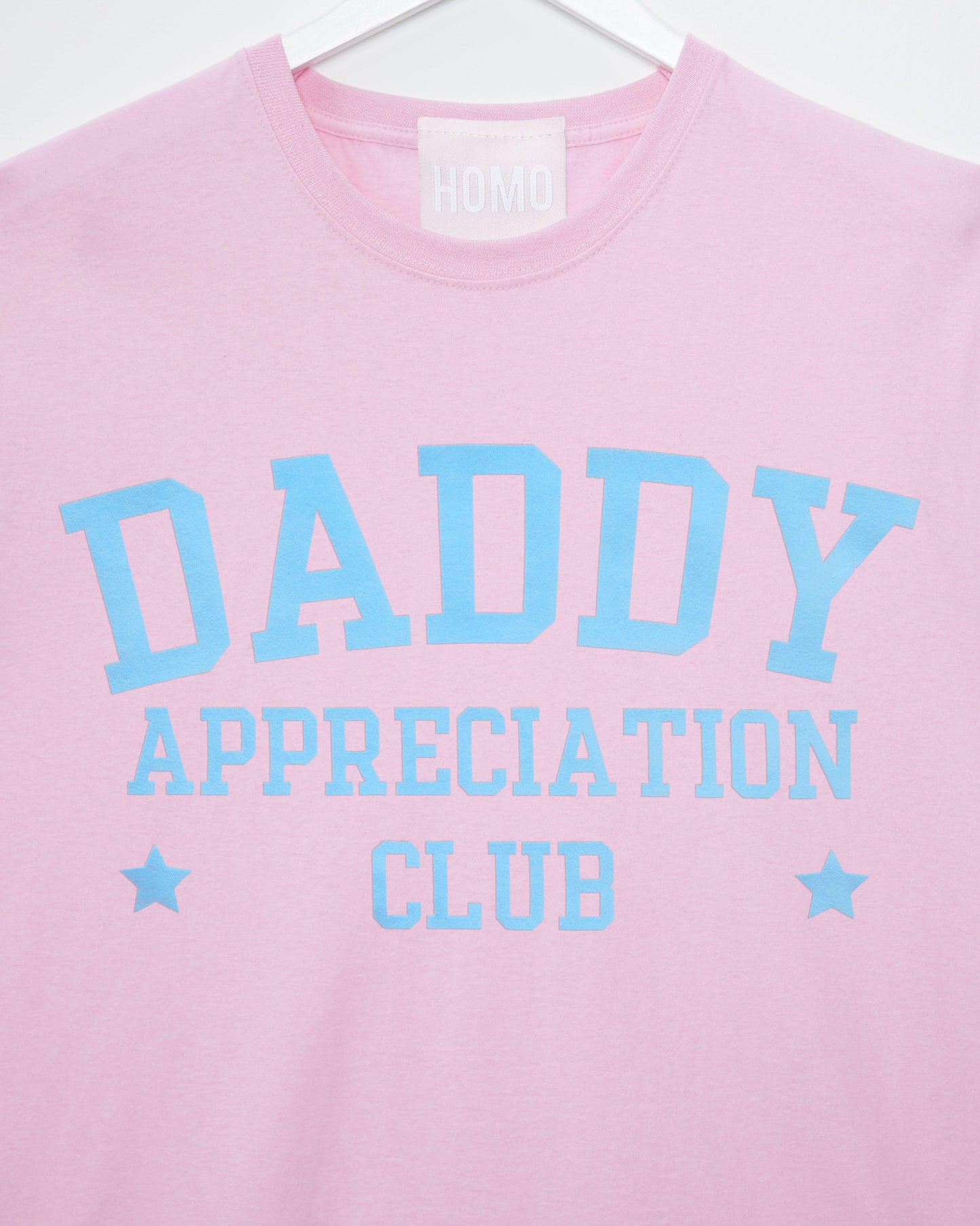 Daddy appreciation club, light blue flock on pink - mens tshirt - HOMOLONDON