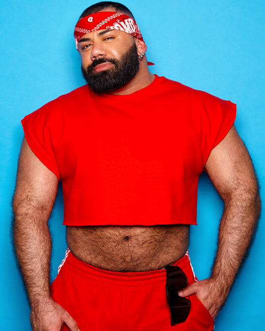 Red sweatshirt - crop top