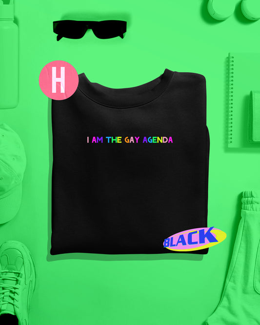 Rainbow colour "I Am The Gay Agenda" slogan on soft style sweatshirt in Black