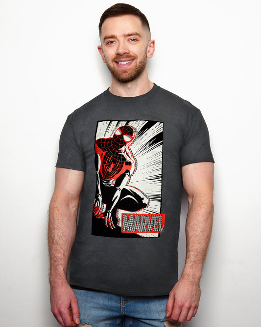 Official Marvel Comics, Spider-man distressed tee - Grey