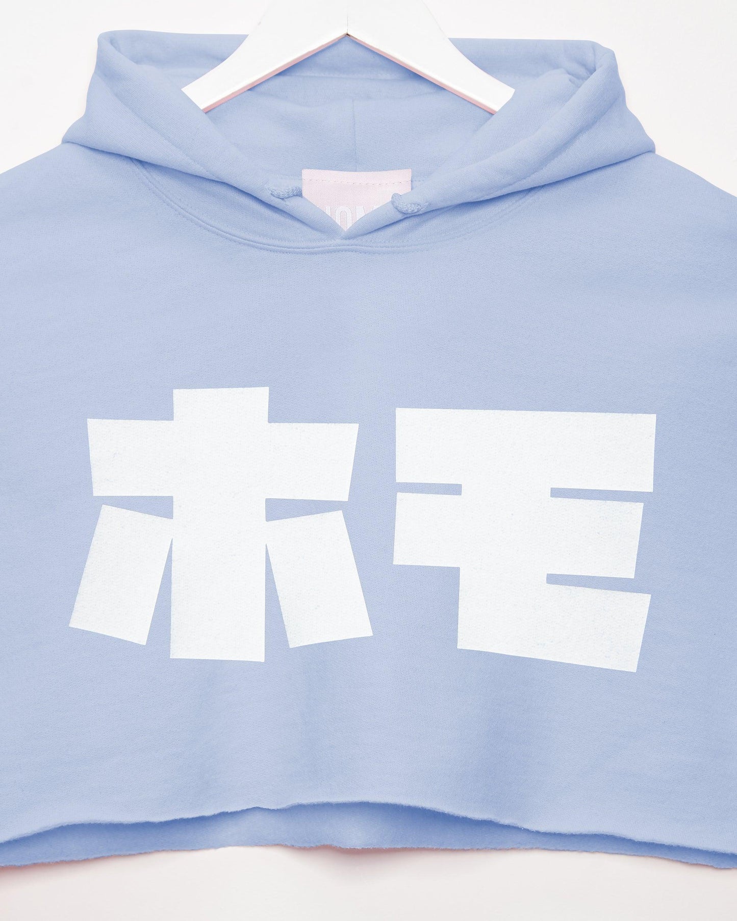 HOMO in Japanese, white on light blue - hoodie crop top.